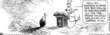 Non-Sequitur