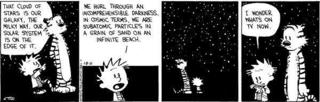 Calvin and Hobbes 10-11-94