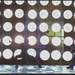 68745_440c9_square