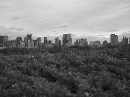 New-york