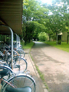 Cycles and Cyclist