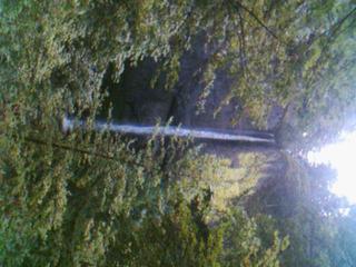Water Fall