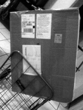 Life in a box