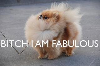 It bears repeating...