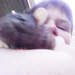 408732_9dff6_square