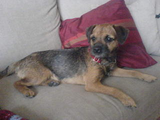 FIFI