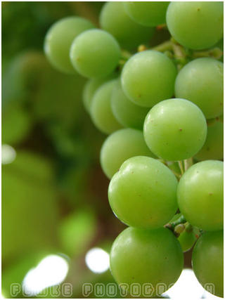 Grapes