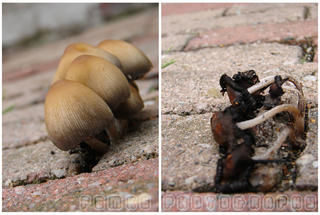 Before and after the storm