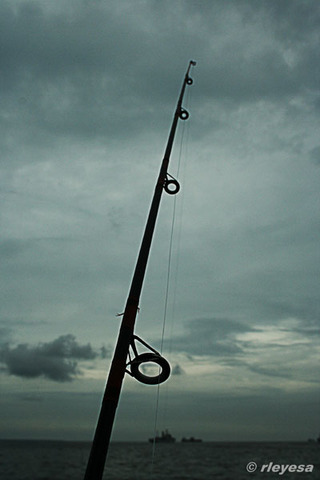Fishing....