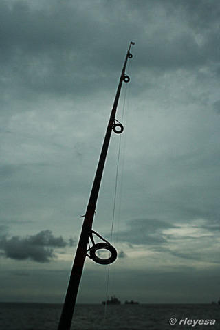 Fishing....