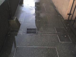 After the Rain II