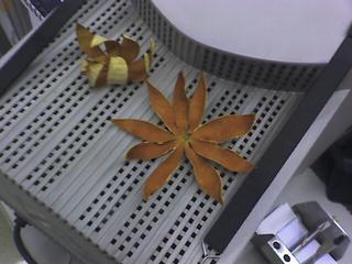 Creative Recycling