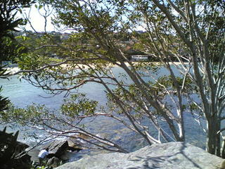 hidden picnic area