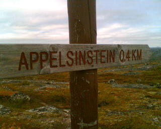 Appelsinsteinen