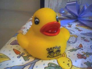 Ducky
