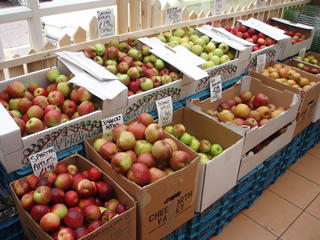 Apple Selection