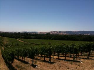 At Gundlach Bundschu wineries