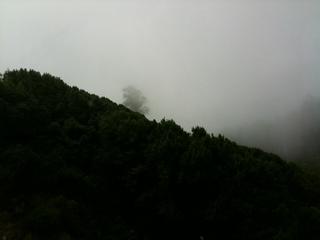 Microclimates...