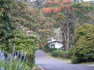 September 15, 2007 - Almost spring