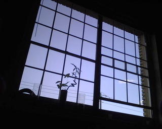 IMG00118.jpg