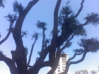 sitting in a park