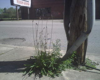 IMG00582.jpg