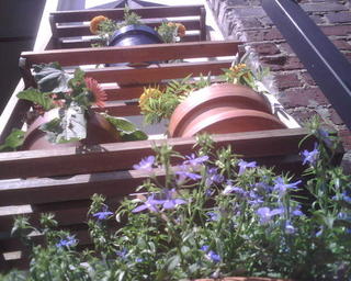 IMG00612.jpg