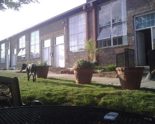IMG00629.jpg