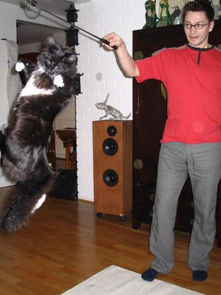 Saga jumps