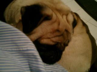 Yawn ...