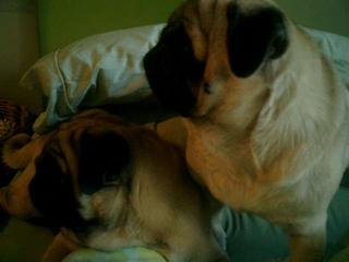 Good morning!!! :-)