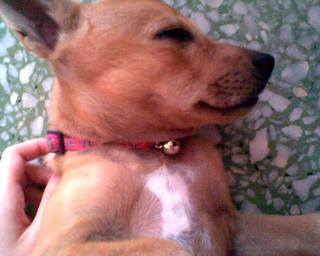 my lily is cute