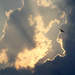 212936_217f7_square