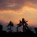306632_e2fb6_square