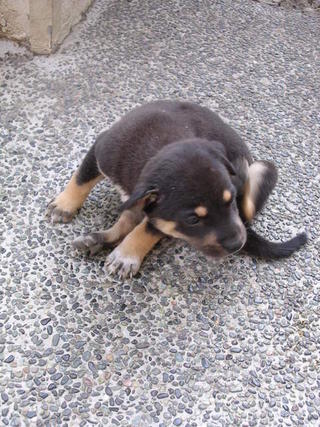 Awww...