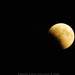 1008205_7b86a_square