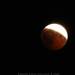 1008223_eef56_square
