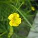 106764_73b2c_square