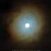 1124406_339a3_square