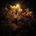 149155_a404d_square