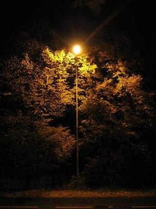 Autumn-coloured light