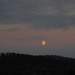 150488_0ea5d_square