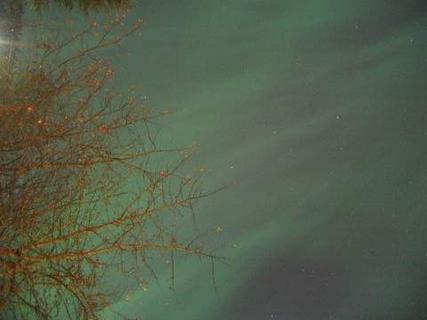 Celestial curtains (i)