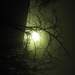 155036_544cf_square
