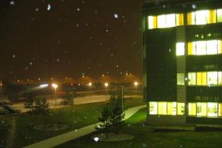 First day of snow (iii)