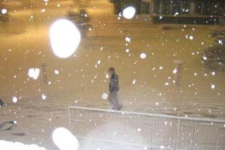 First day of snow (iv)