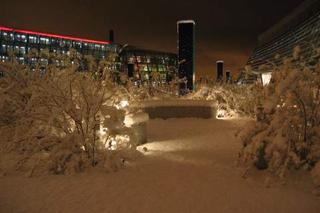 First day of snow (v)