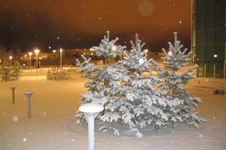 First day of snow (vi)
