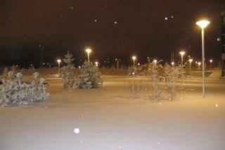 First day of snow (viii)