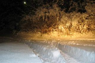 First day of snow (xii)